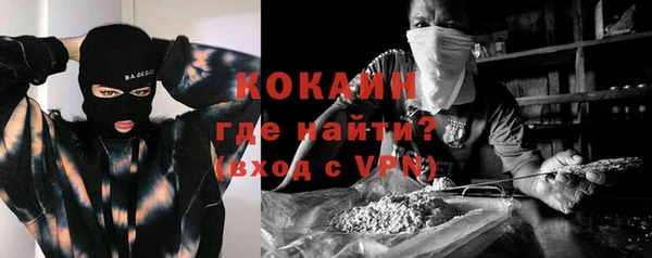 твердый Заводоуковск
