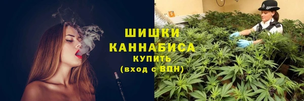 PSILOCYBIN Заволжье
