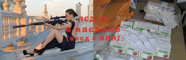 твердый Заводоуковск