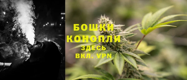 PSILOCYBIN Заволжье
