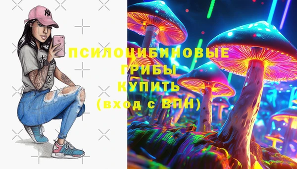 твердый Заводоуковск