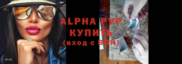 PSILOCYBIN Заволжье