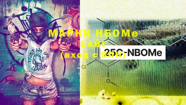 PSILOCYBIN Заволжье