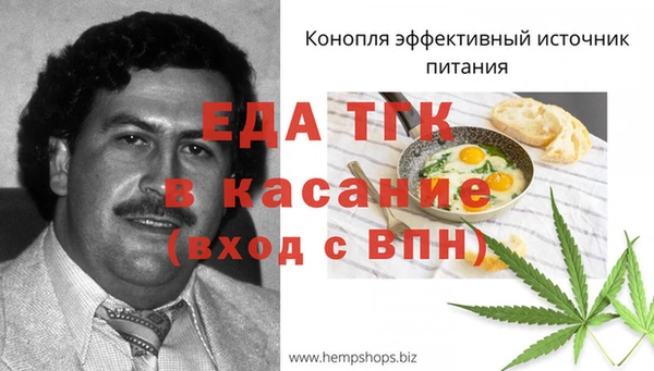 твердый Заводоуковск