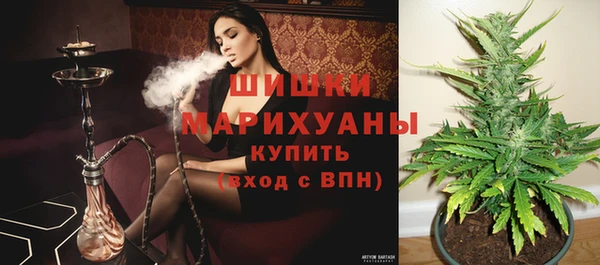 a pvp Зеленокумск