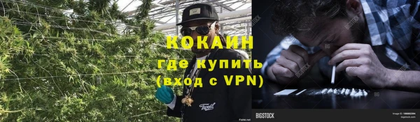 PSILOCYBIN Заволжье