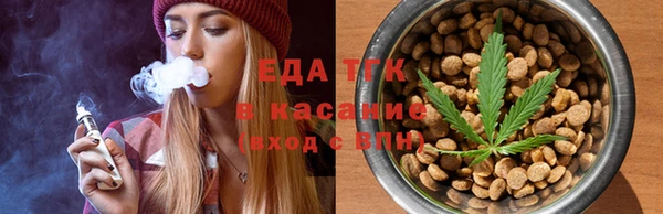 твердый Заводоуковск