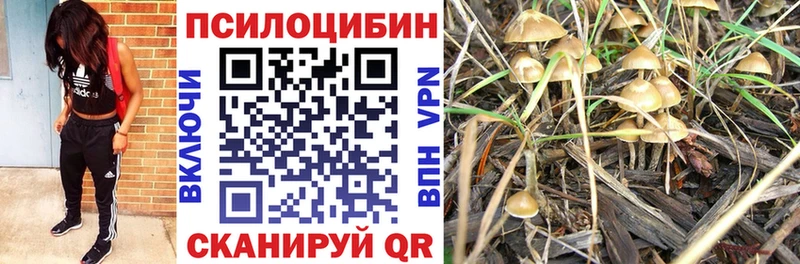 Псилоцибиновые грибы GOLDEN TEACHER  Купить  Далматово 